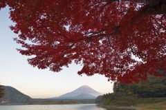 平日の富士山141