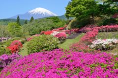 週末の富士山（新作839）