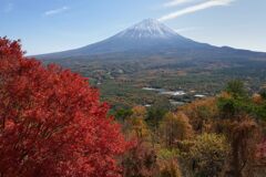 平日の富士山861