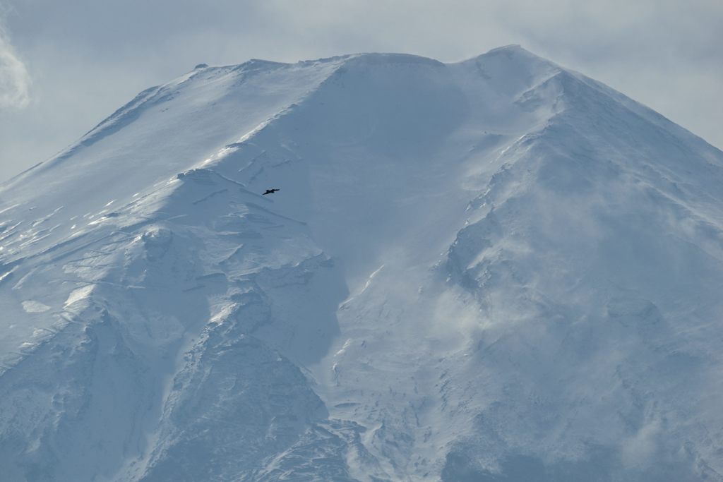 平日の富士山613