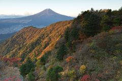 平日の富士山127