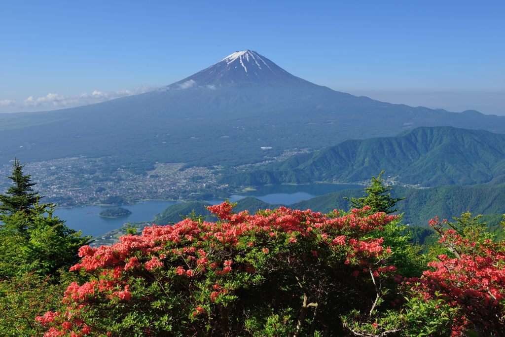 平日の富士山31
