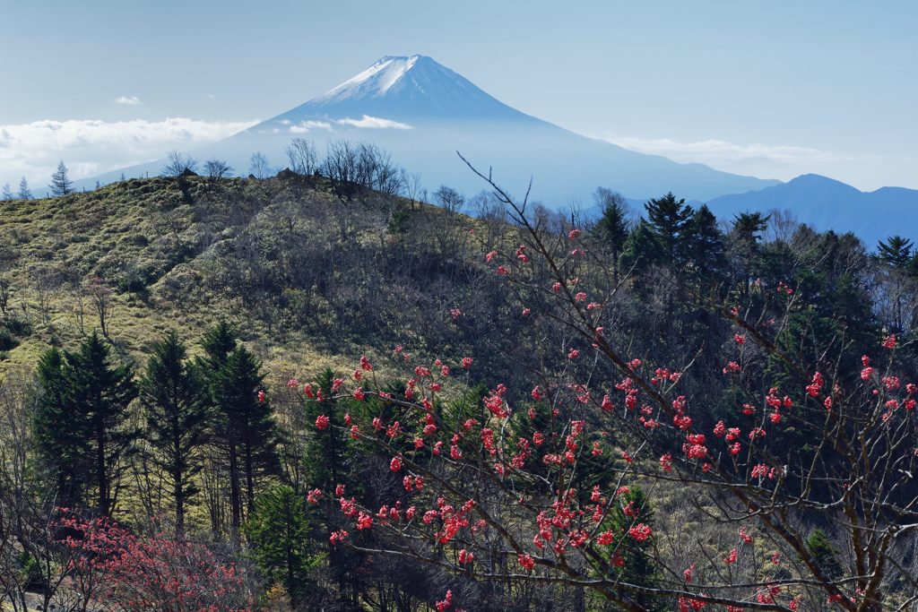 平日の富士山139