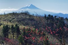 平日の富士山139