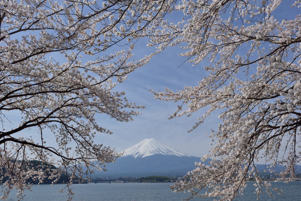 週末の富士山（新作199）