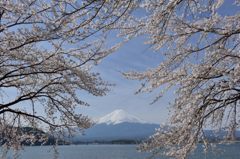 週末の富士山（新作199）