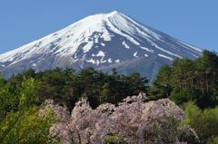週末の富士山（新作443）