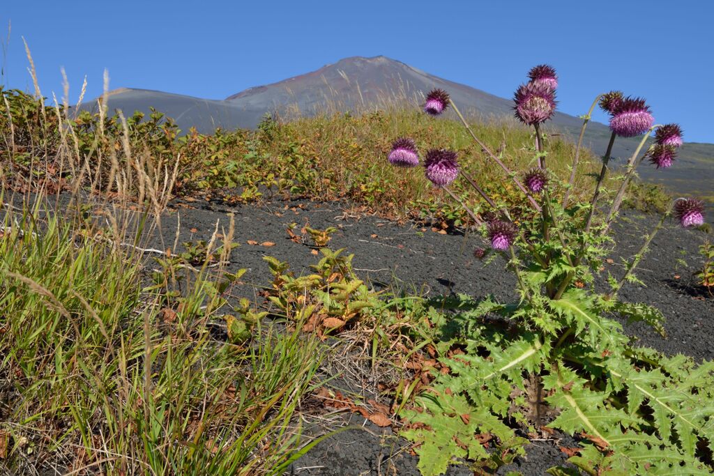 週末の富士山149