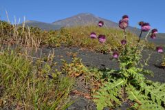 週末の富士山149
