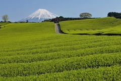 週末の富士山（新作615）
