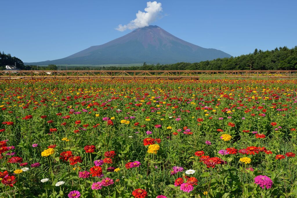 平日の富士山759