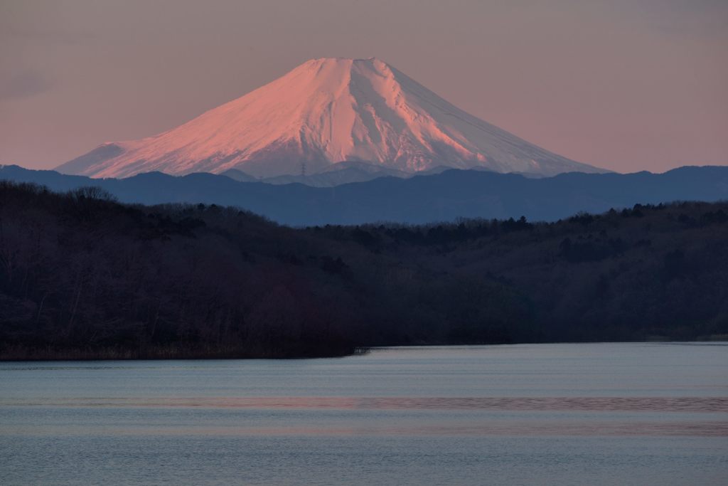 週末の富士山（新作534）