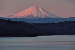 週末の富士山（新作534）