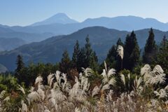 平日の富士山981