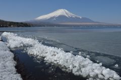 週末の富士山（新作802）