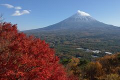 平日の富士山868