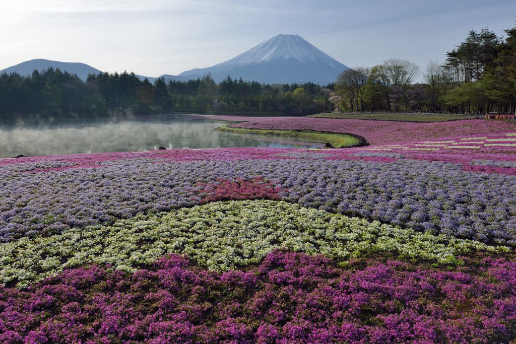 週末の富士山（新作1188）