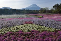 週末の富士山（新作1188）