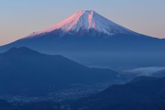 週末の富士山（新作501）