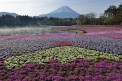 週末の富士山（新作1189）