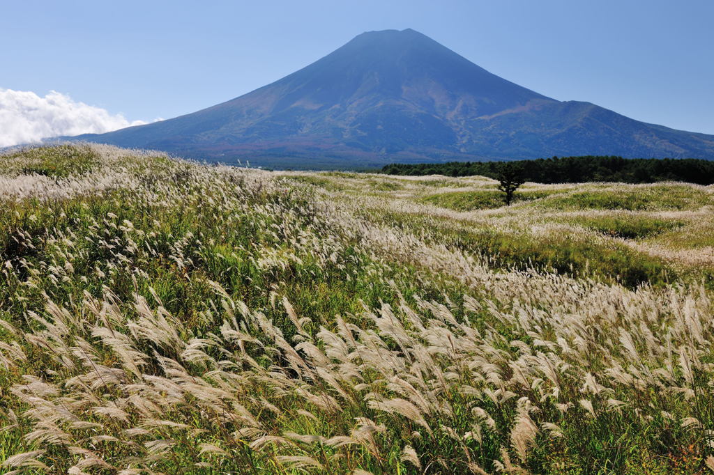 週末の富士山12
