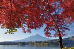 平日の富士山897