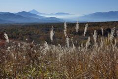 平日の富士山829