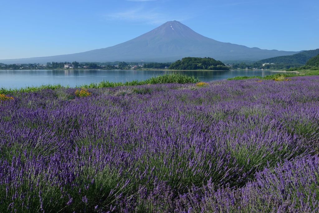 平日の富士山59