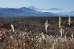 平日の富士山828