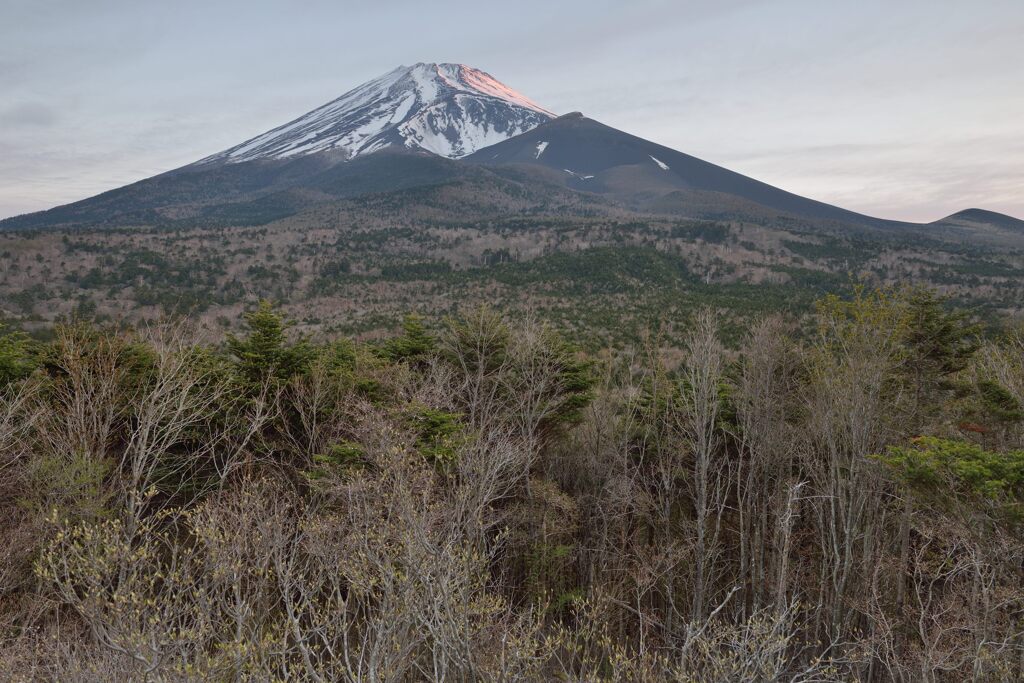 週末の富士山25