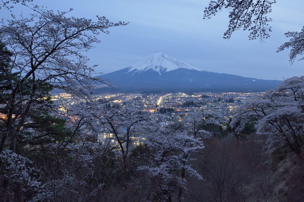 週末の富士山（新作1154）