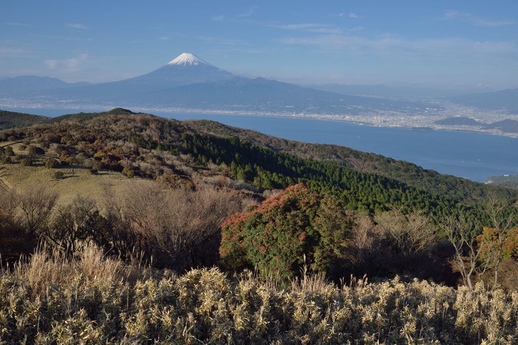 週末の富士山304