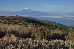 週末の富士山304