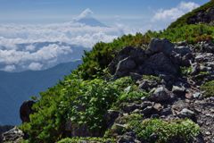週末の富士山（新作976）