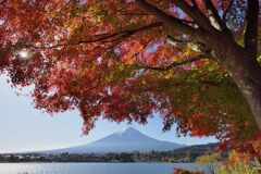 平日の富士山917