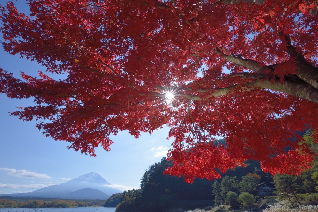 週末の富士山188