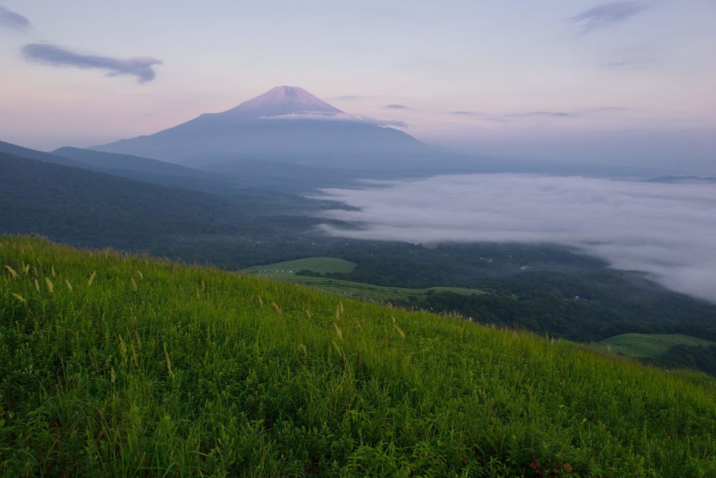 週末の富士山（新作467）