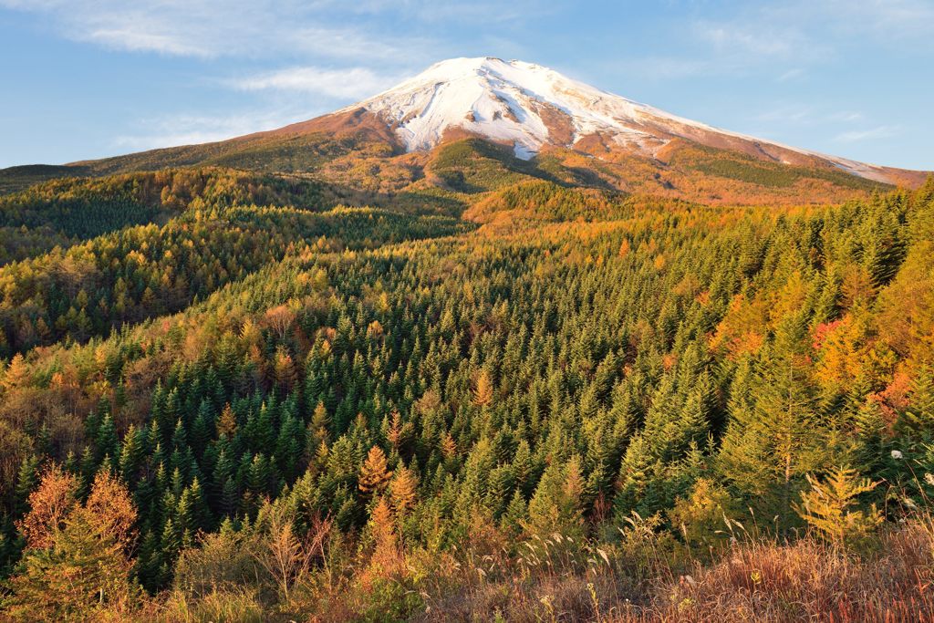 平日の富士山390