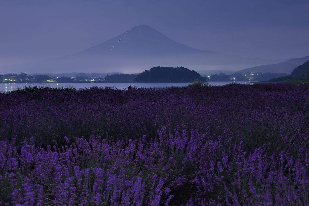 平日の富士山331