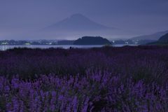 平日の富士山331