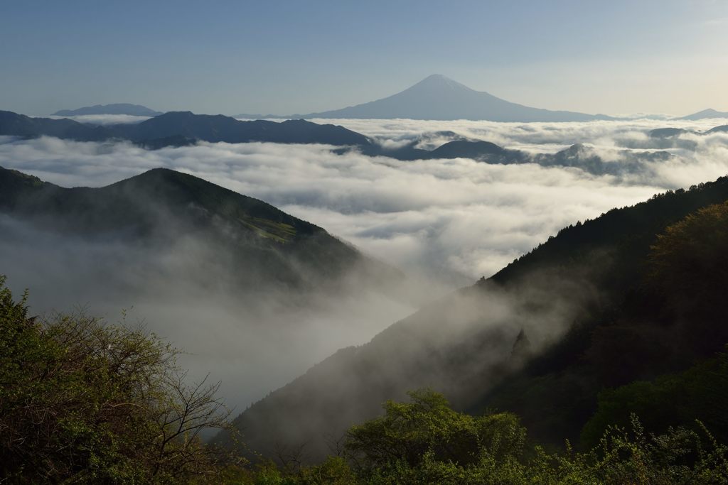 平日の富士山11