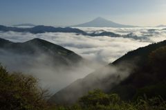平日の富士山11