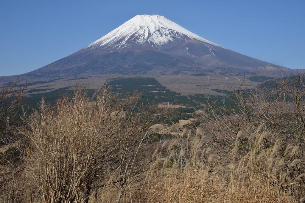週末の富士山263