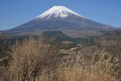 週末の富士山263