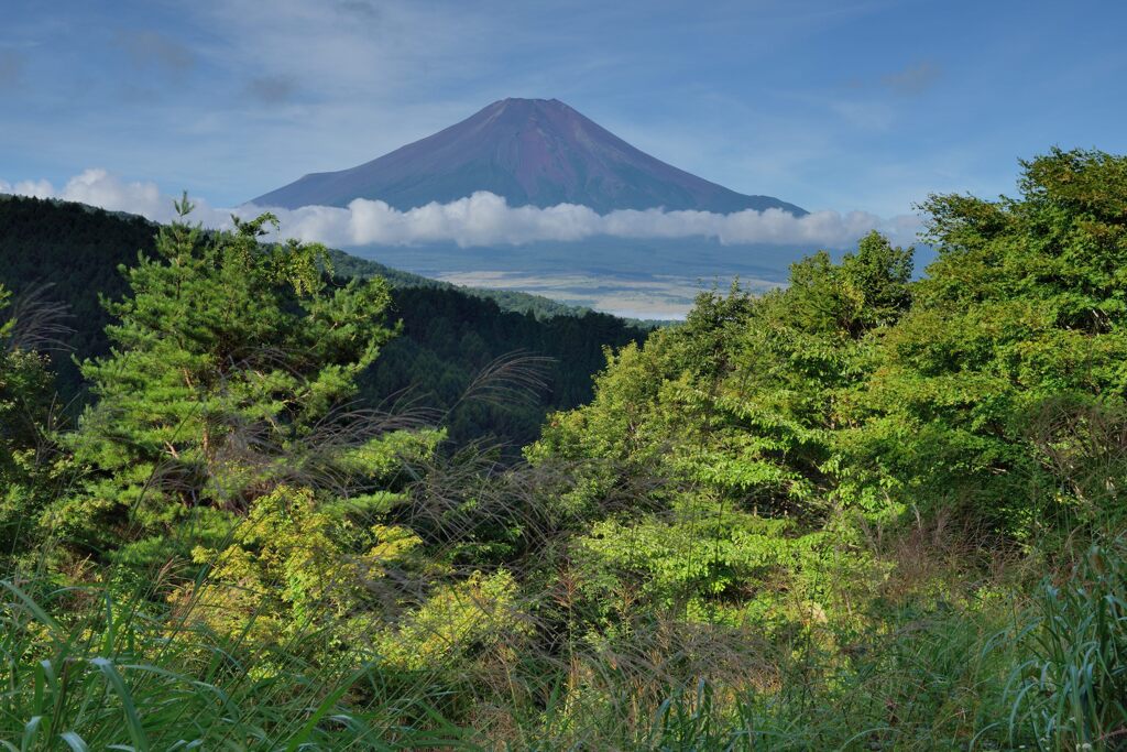 週末の富士山136