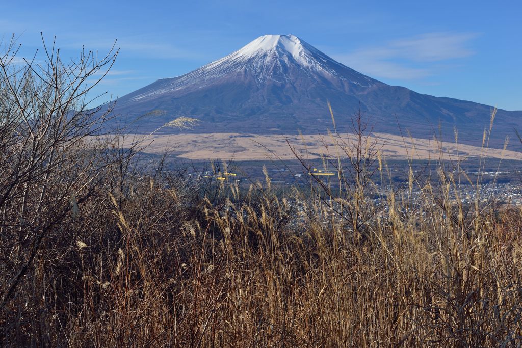 週末の富士山（新作390）