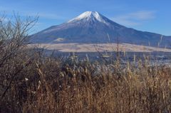 週末の富士山（新作390）