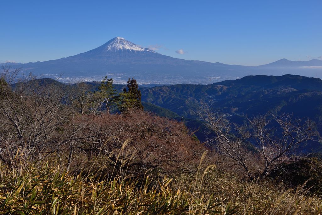週末の富士山（新作381）
