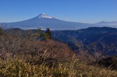 週末の富士山（新作381）