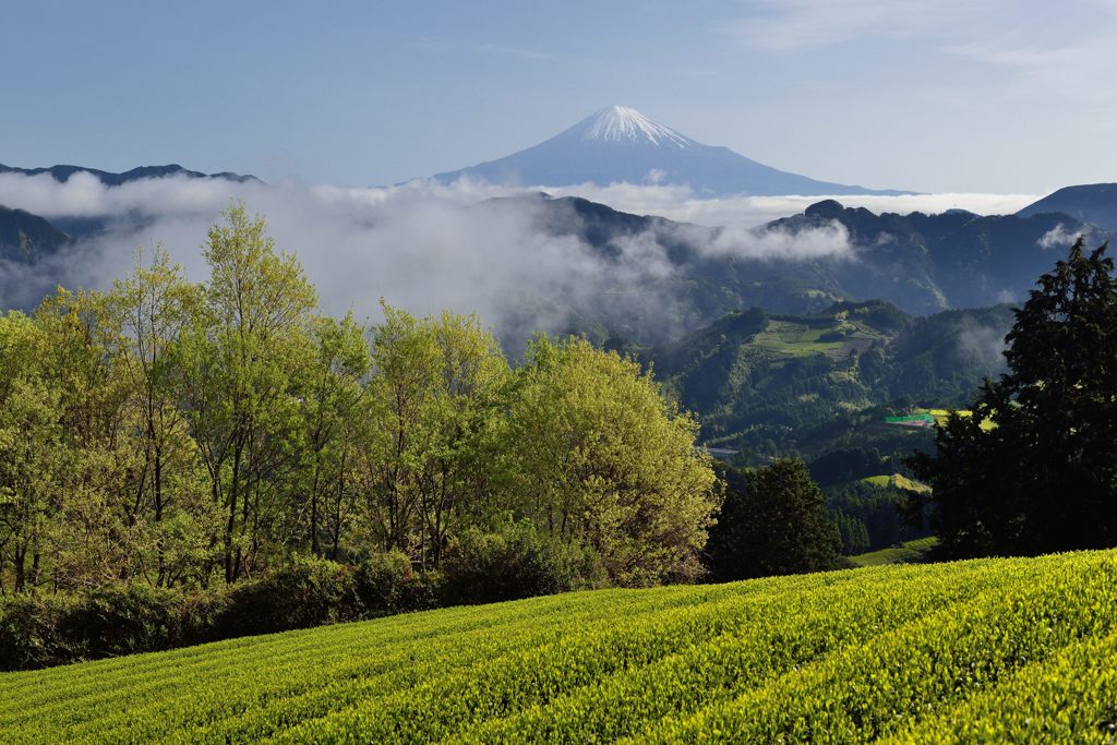 平日の富士山23